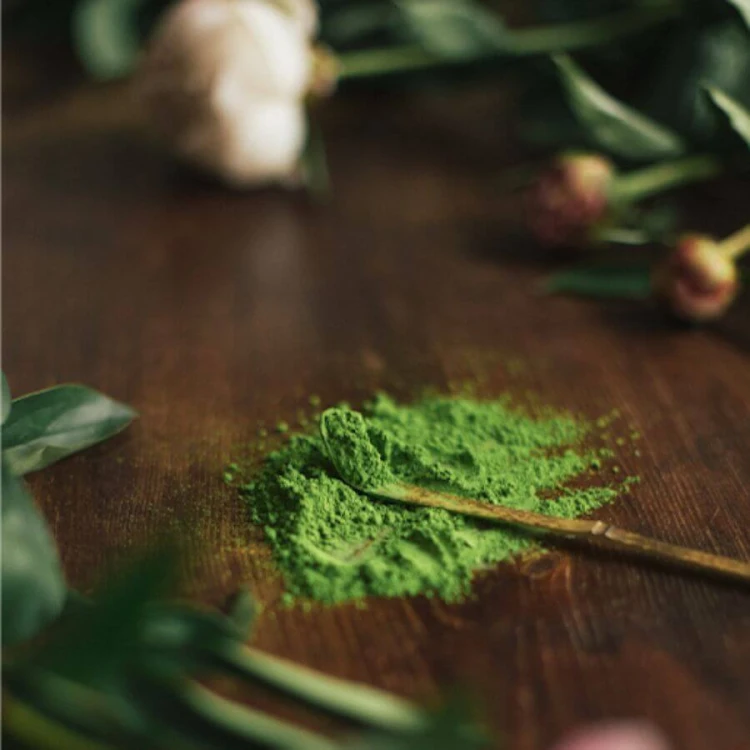 MOYA Matcha Tradycyjna organiczna japońska herbata w torebce 50g  | CoffeeLove