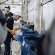 Gardelli Indonezja Kartika omniroast 250 g | CoffeeLove