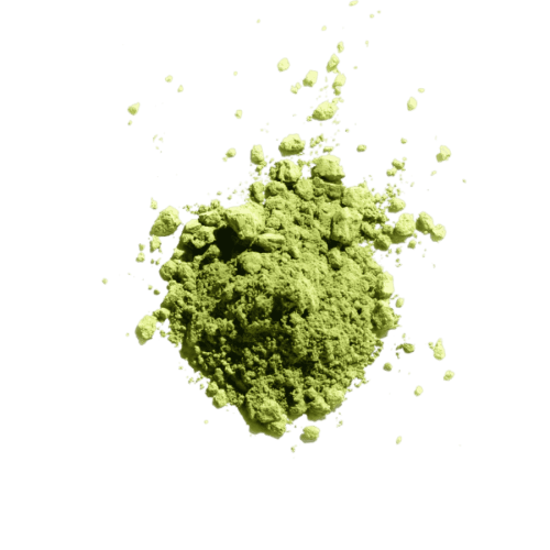 Terroir Matcha Kikyo Daily 50 g | CoffeeLove