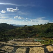 1000 Hills Muhabura Rwanda honey filtr 250g kawa ziarnista Speciality | CoffeeLove
