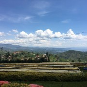 1000 Hills Muhabura Rwanda honey filtr 250g kawa ziarnista Speciality | CoffeeLove